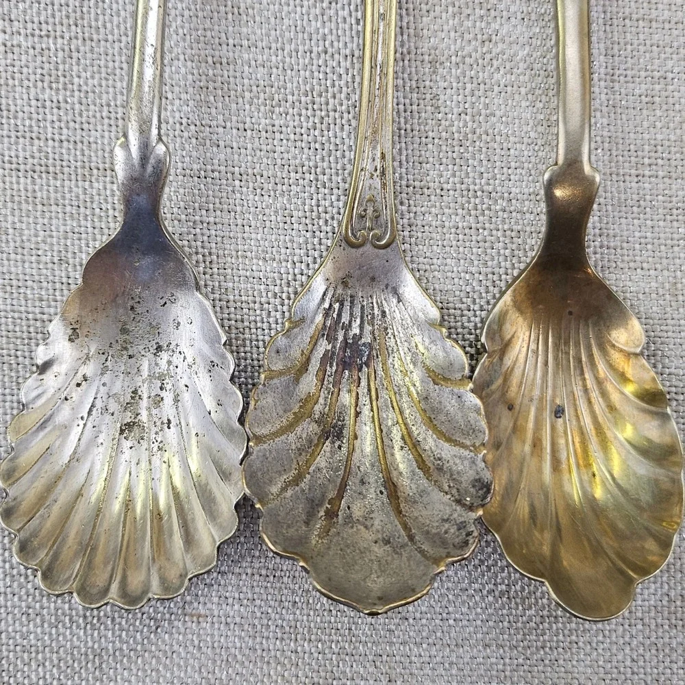 Rogers Brazil Silver Antique Shell Spoons Set 3 Monogrammed R TU B Salt Sugar
